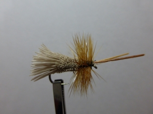 Size 16 Goddard Caddis  Barbless